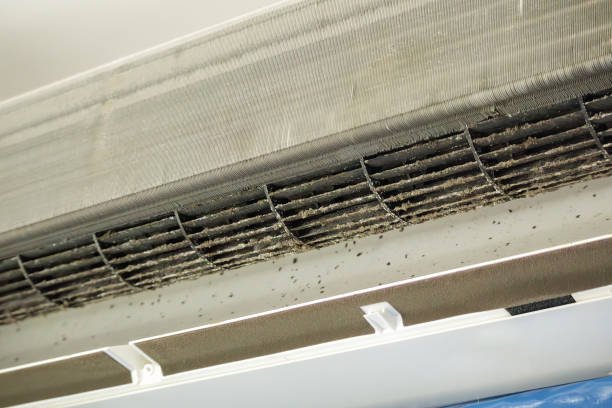 Best Professional Duct Cleaning Services  in Piru, CA